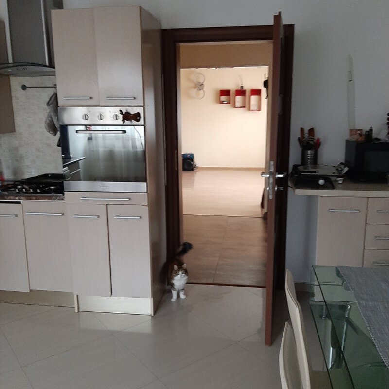 Casa individuala in Domnesti cu 580 mp teren, zona Drumul Targului