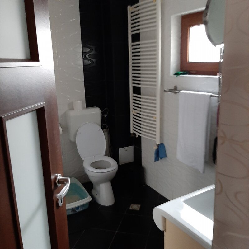 Casa individuala in Domnesti cu 580 mp teren, zona Drumul Targului